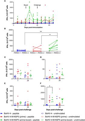 An attenuated herpesvirus vectored vaccine candidate induces T-cell responses against highly conserved porcine reproductive and respiratory syndrome virus M and NSP5 proteins that are unable to control infection